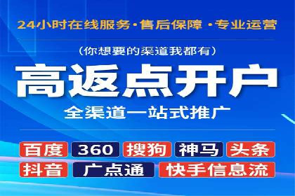 百度SEO推广公司案例分享：行业佼佼者经验